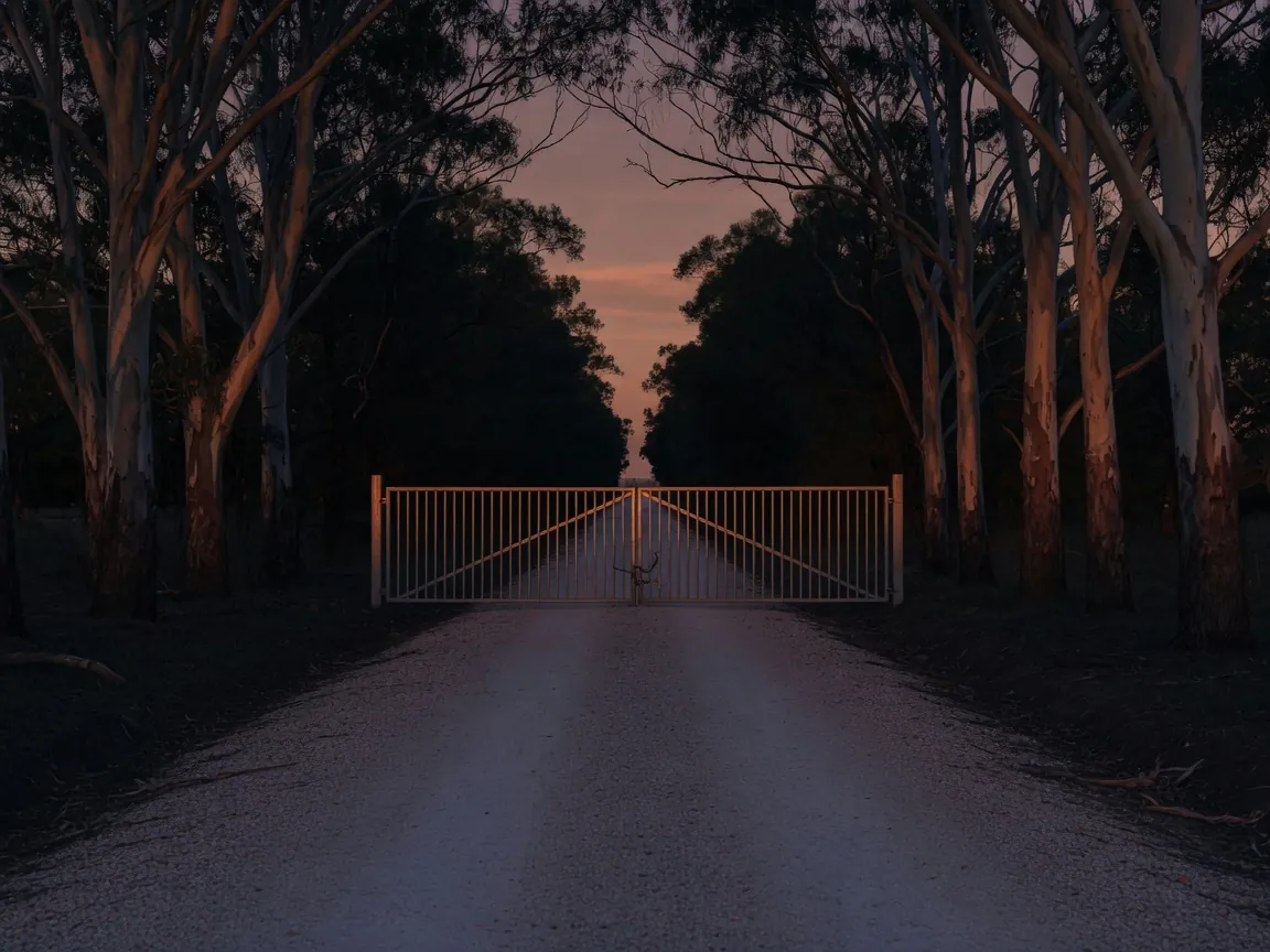 Farm driveway lined with gum trees leading to a closed gate at dusk